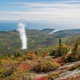 Image for article titled Yellowstone Places Old Faithful On 6-Month Loan To Acadia National Park